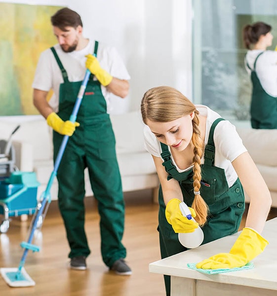 Cleaning Services